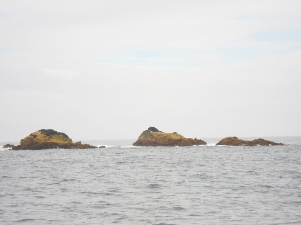 Trois rochers bas couverts d'algues ocre émergent d'une mer grise et agitée, frangés d'un peu d'écume, sous un ciel blanc et couvert