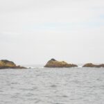 Trois rochers bas couverts d'algues ocre émergent d'une mer grise et agitée, frangés d'un peu d'écume, sous un ciel blanc et couvert