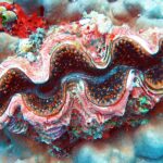 Un bénitier au manteau ondulé rose, brun et bleu, bordé de points orange, encastré dans un corail massif gris-bleu, avec une éponge rouge et des ascidies vertes