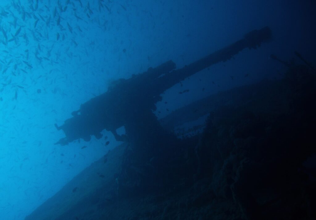 Le canon de poupe du Thistlegorm en silhouette sur le bleu, sous un banc de petits poissons