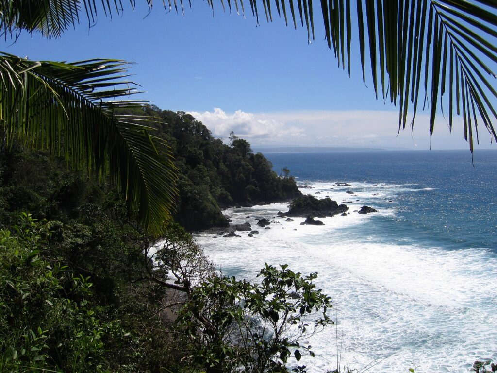 Vue plongeante encadrée de palmes : un cap couvert de forêt tropicale plonge dans la mer, les vagues blanchissent sur des rochers noirs et une côte lointaine se dessine à l'horizon sous un ciel bleu.