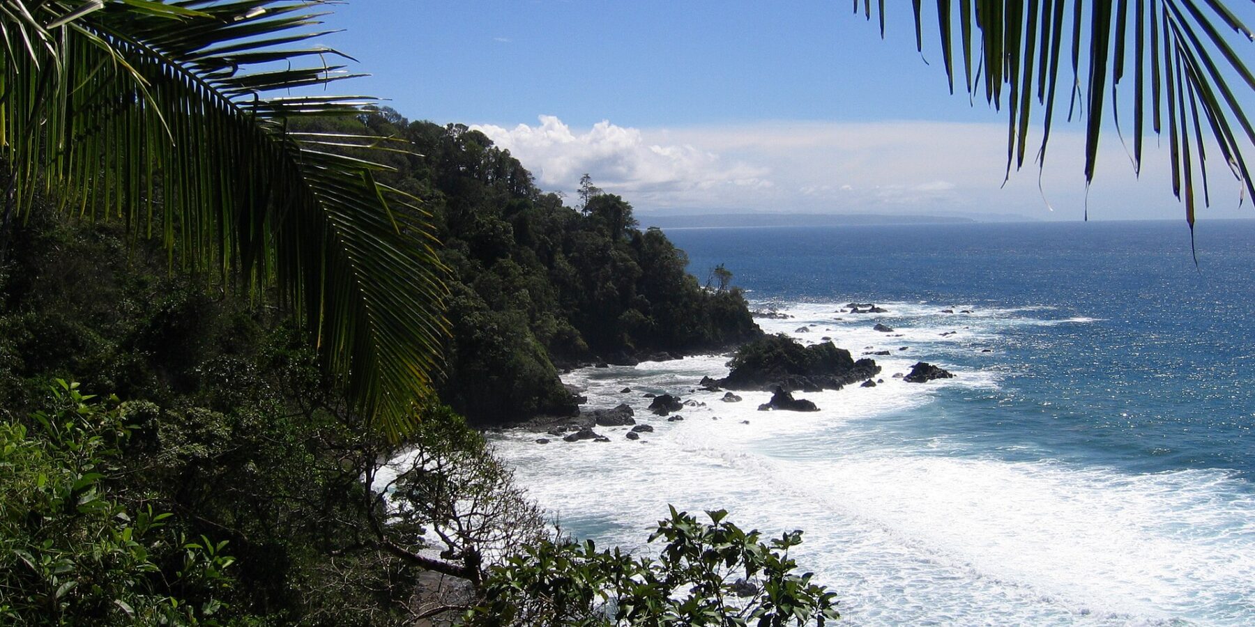 Vue plongeante encadrée de palmes : un cap couvert de forêt tropicale plonge dans la mer, les vagues blanchissent sur des rochers noirs et une côte lointaine se dessine à l'horizon sous un ciel bleu.