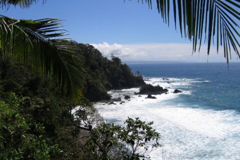 Vue plongeante encadrée de palmes : un cap couvert de forêt tropicale plonge dans la mer, les vagues blanchissent sur des rochers noirs et une côte lointaine se dessine à l'horizon sous un ciel bleu.