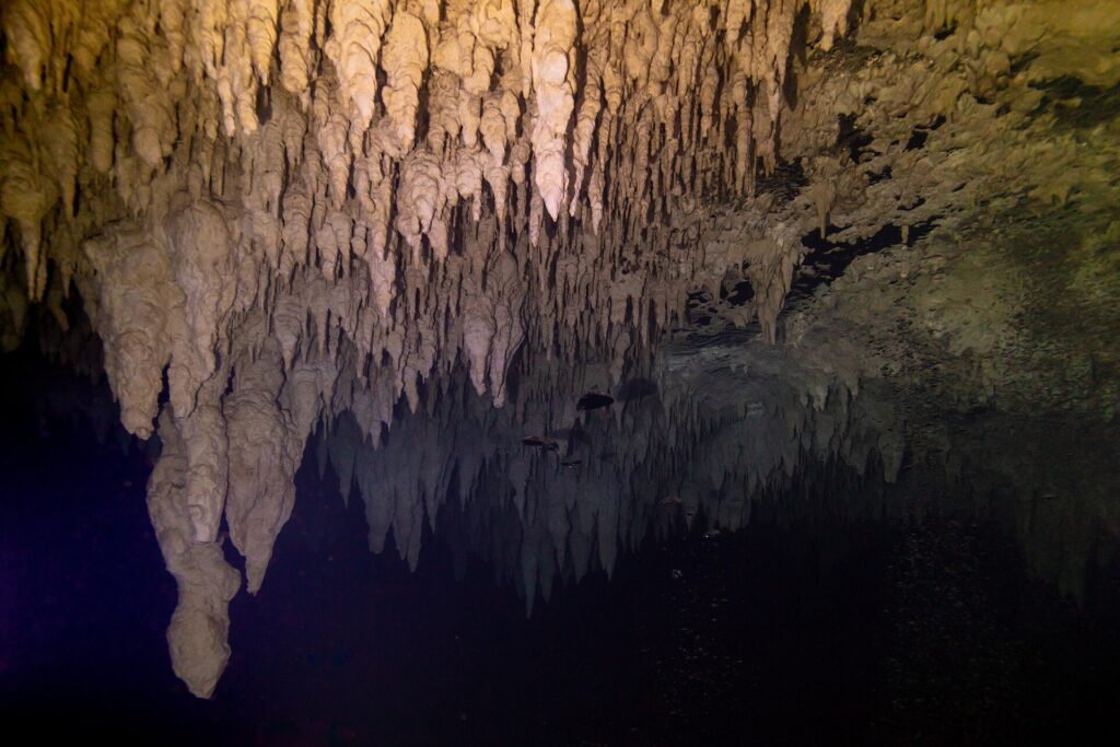 Un plafond de stalactites beiges éclairé à la lampe, qui se reflète dans une surface d'eau noire, dans le cénote The Pit