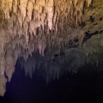 Un plafond de stalactites beiges éclairé à la lampe, qui se reflète dans une surface d'eau noire, dans le cénote The Pit