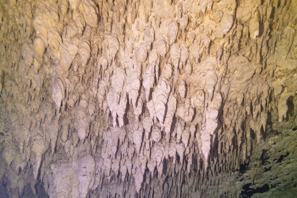 Une paroi de calcaire couverte de centaines de petites stalactites blanches et jaunes, en gros plan