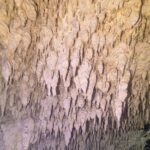 Une paroi de calcaire couverte de centaines de petites stalactites blanches et jaunes, en gros plan