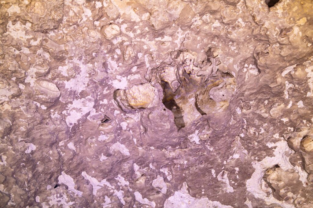 Gros plan sur la roche rose et blanche de la paroi du cénote, avec des creux, des bulles d'air piégées et des concrétions
