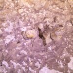 Gros plan sur la roche rose et blanche de la paroi du cénote, avec des creux, des bulles d'air piégées et des concrétions