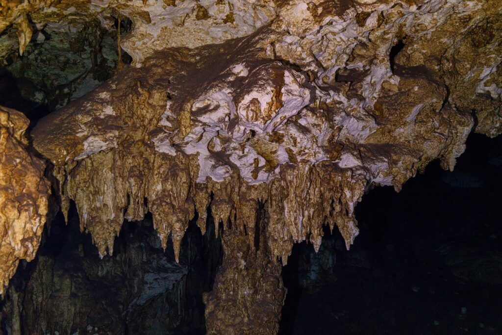 Un plafond de calcaire brun et blanc hérissé de stalactites courtes, éclairé à la lampe, dans la caverne de Dos Ojos