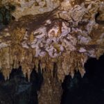 Un plafond de calcaire brun et blanc hérissé de stalactites courtes, éclairé à la lampe, dans la caverne de Dos Ojos