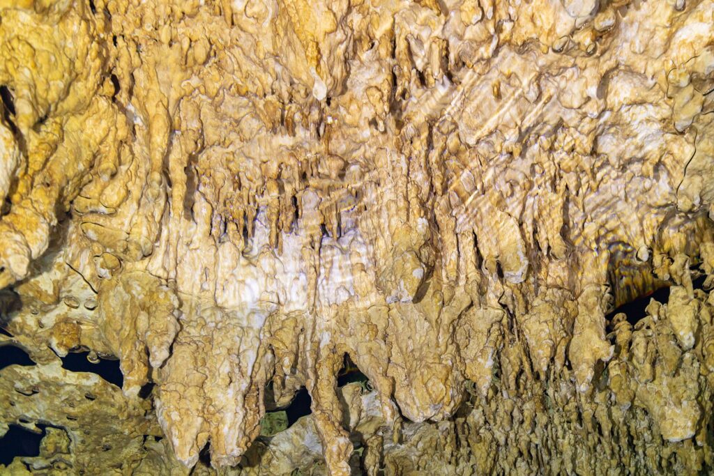 Gros plan sur des concrétions jaune pâle et des stalactites fines, avec le reflet ondulé de l'eau en bas