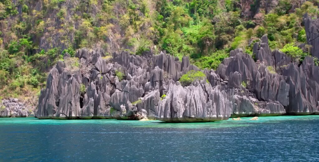 Des aiguilles de calcaire gris sculptées en lames plongent dans une eau turquoise puis bleu profond, au pied d'une pente couverte de forêt.