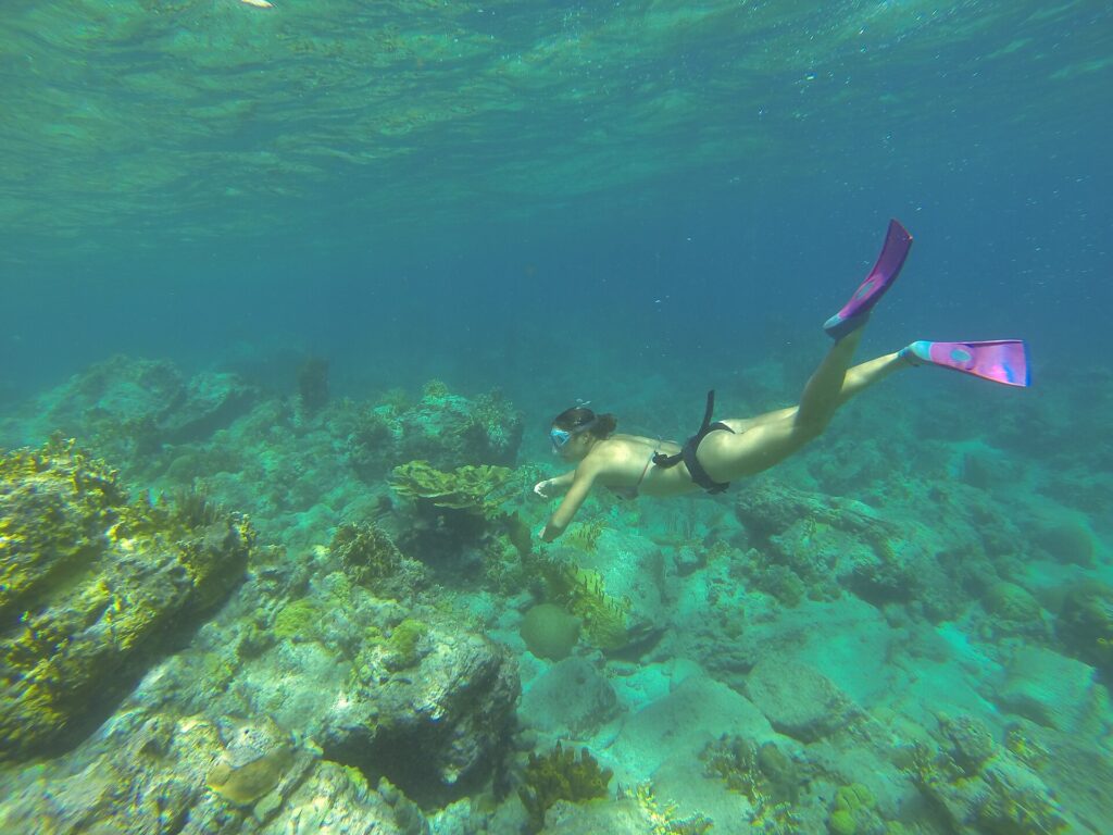 Une apnéiste en masque et palmes roses descend vers un fond de rochers et de coraux, sous la surface ridée, dans une eau turquoise