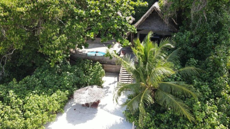 Vue aérienne d'un bungalow au toit de paille, sa terrasse avec bassin et l'escalier vers le sable
