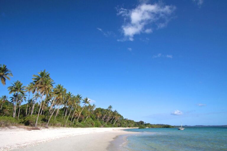 Une plage de sable blanc bordée de cocotiers, avec un voilier au loin