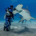Un plongeur debout sur le sable pose sa main gantée sur la tête d'un grand requin-marteau qui se cabre gueule ouverte, ventre blanc et large marteau bien visibles