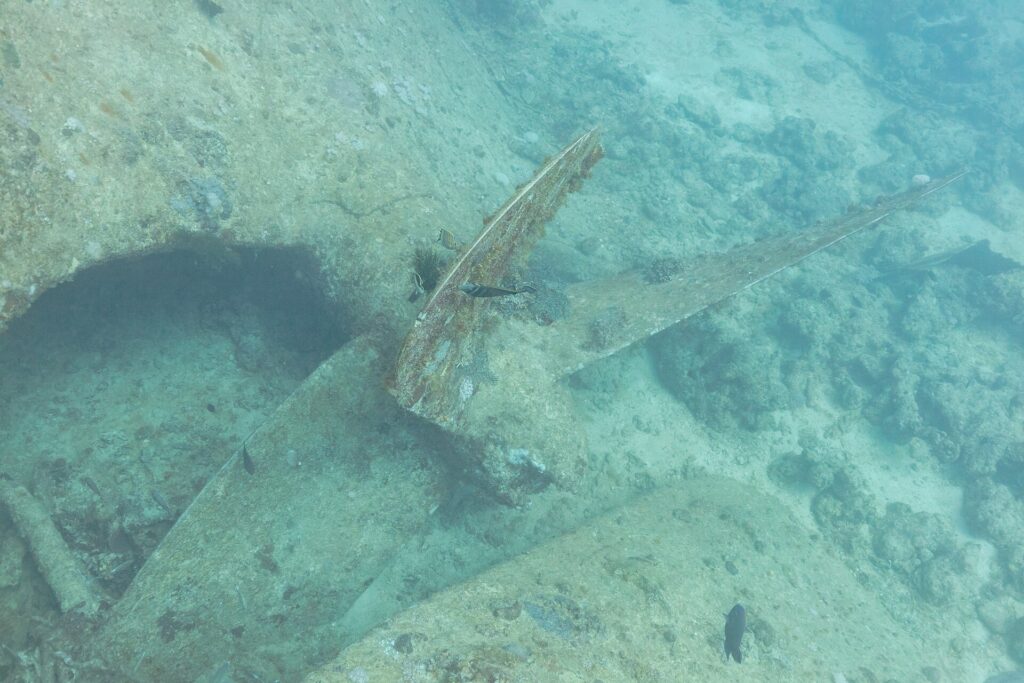 Une pale de l'hélice du Thistlegorm, couverte de concrétions, posée sur le sable à côté de la coque