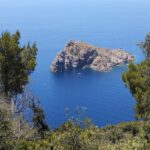Vue plongeante depuis les hauteurs de Port-Cros, entre des pins et des arbustes, sur l'îlot rocheux et escarpé de la Gabinière posé sur une mer d'un bleu profond, un petit bateau blanc mouillé à ses pieds.