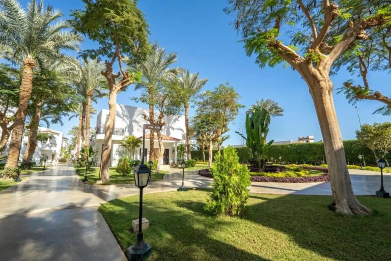 Le jardin, ses pelouses, ses palmiers et ses allées, devant un bâtiment blanc