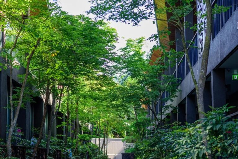 Une allée plantée d'arbres entre deux bâtiments du resort