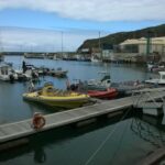 Des semi-rigides, un jaune aux rangées de sièges et un rouge, amarrés au ponton de la marina de Vila do Porto, voiliers et bateaux de pêche au fond sous une falaise verte et un ciel nuageux