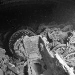 Motos empilées dans la cale du Thistlegorm, photo en noir et blanc, pneus et roues encore visibles