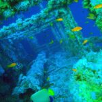 Les superstructures du Numidia couvertes de coraux mous, des anthias orange tout autour et un poisson-ange empereur au premier plan, dans une eau bleu-vert