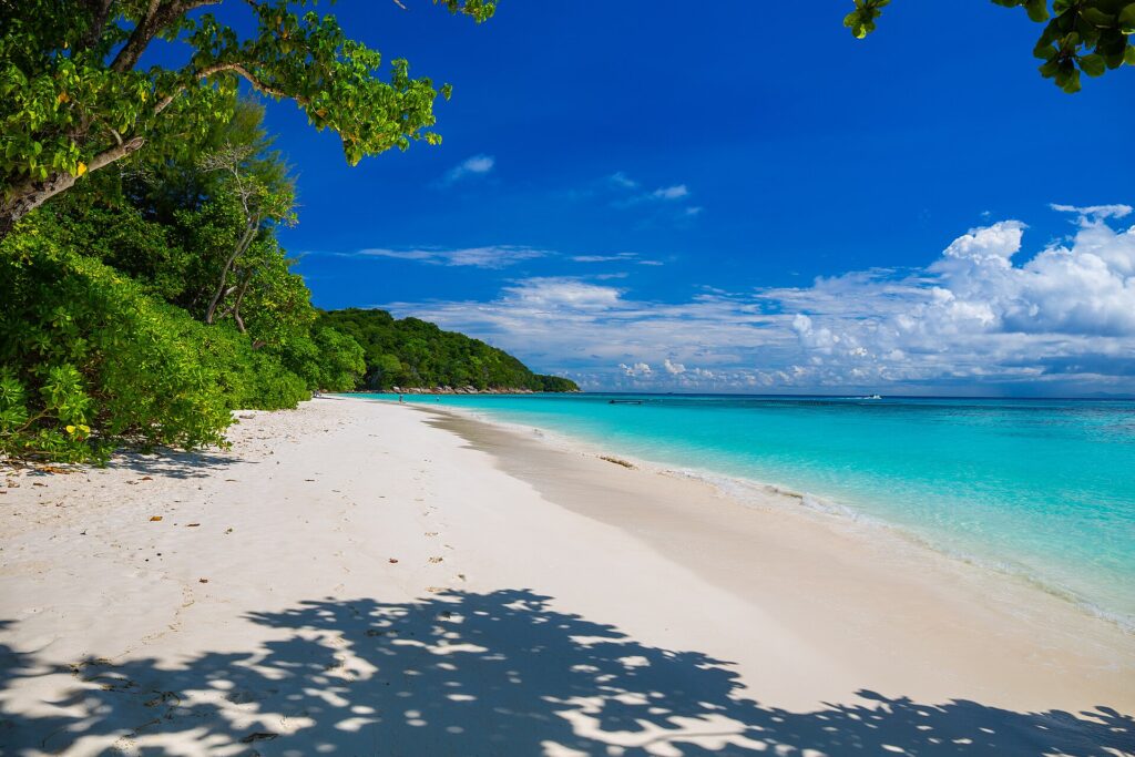 La plage de sable blanc de Koh Tachai bordée d'arbres sous un ciel bleu, l'eau turquoise à droite et une ligne de bouées au large