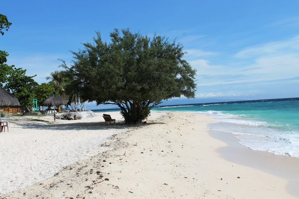 Une plage de sable blanc où un grand arbre touffu ombrage une chaise longue, des paillotes à toit de chaume à gauche et la mer turquoise qui déferle doucement à droite, sous un ciel bleu.