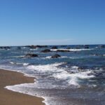 Une plage de sable brun doré où viennent mourir des vagues frangées d'écume, devant une mer bleue parsemée de rochers noirs jusqu'à l'horizon, sous un ciel sans nuage.