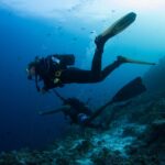 Deux plongeurs au-dessus d'une pente de récif, l'un tenu par une ligne de crochet de récif, l'autre en short, dans une eau bleue pleine de petits poissons
