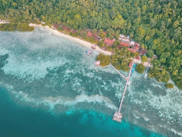 Une longue jetée en bois qui part de la plage vers le large, vue du ciel