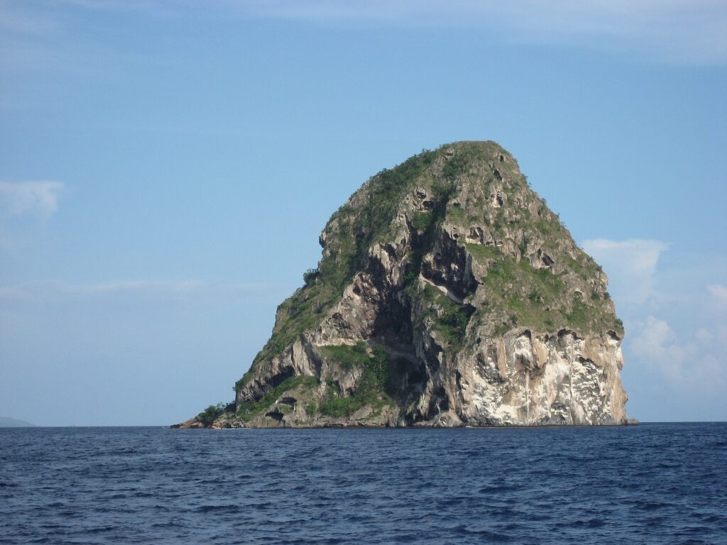 Le Rocher du Diamant vu de près depuis la mer, une masse de roche grise creusée de grottes, striée de blanc et coiffée de végétation, au-dessus d'une mer bleu foncé