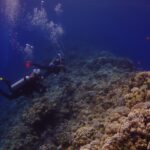 Deux plongeurs longent le mur extérieur du Blue Hole, couvert de coraux durs et d'anthias, le bleu profond à gauche
