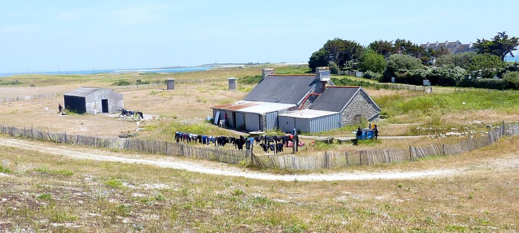 Une longère en pierre aux toits d'ardoise prolongée d'annexes en tôle, devant laquelle une longue rangée de combinaisons de plongée sèche sur une clôture de ganivelles, au milieu d'une lande rase, la mer et un phare au loin.