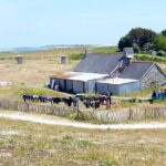 Une longère en pierre aux toits d'ardoise prolongée d'annexes en tôle, devant laquelle une longue rangée de combinaisons de plongée sèche sur une clôture de ganivelles, au milieu d'une lande rase, la mer et un phare au loin.