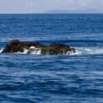 Le sommet de Richelieu Rock émerge à marée basse, rocher sombre couvert d'algues vertes battu par les vagues, les îles Surin à l'horizon