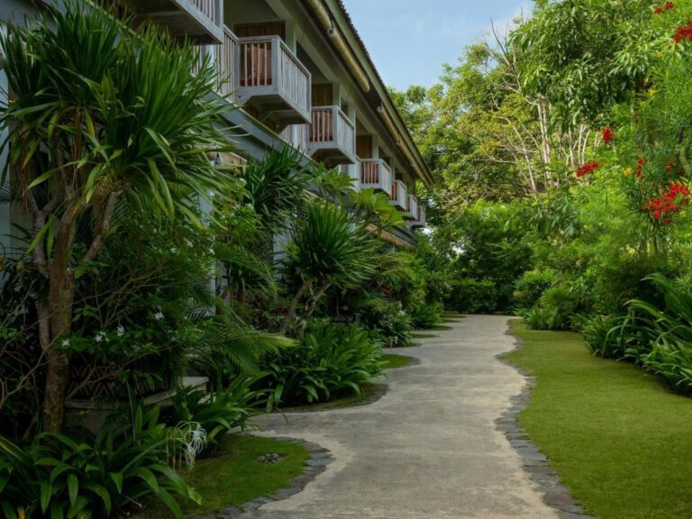 Une allée du jardin entre les bâtiments, sous les arbres en fleurs