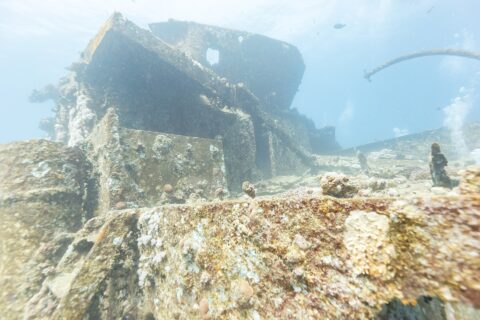 Les superstructures de l'avant du Thistlegorm couvertes de coraux durs, vues du pont
