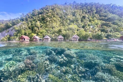 Le récif de corail sous la surface et les bungalows sur pilotis du Terimakasih Homestay, au pied d'une colline boisée