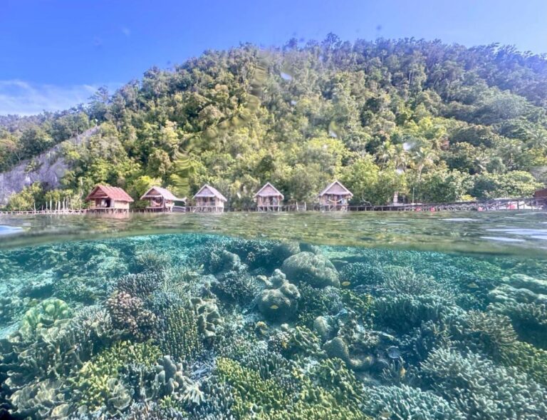 Le récif de corail sous la surface et les bungalows sur pilotis du Terimakasih Homestay, au pied d'une colline boisée