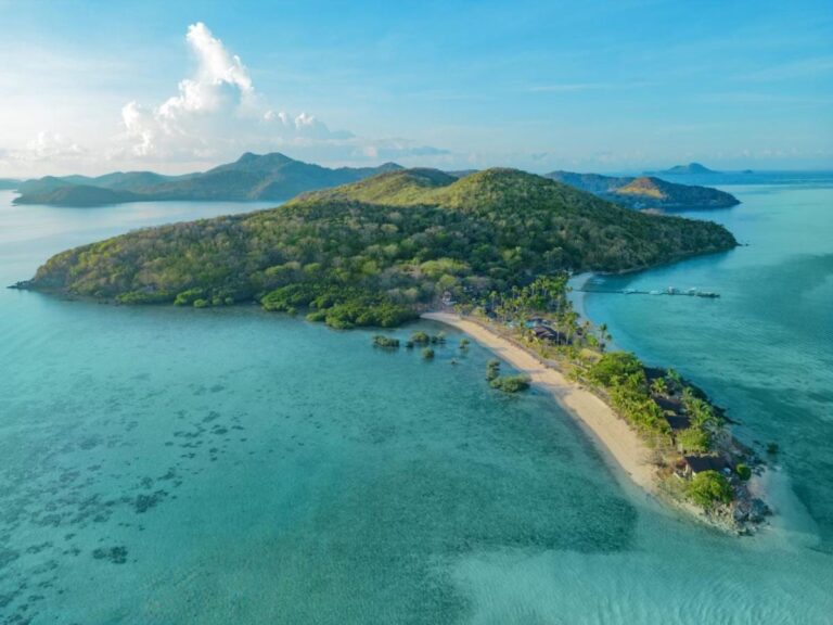 Vue aérienne d'une île couverte de forêt, prolongée par une langue de sable bordée de palmiers