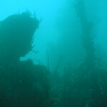 Dans une eau vert turquoise chargée, la silhouette sombre d'une épave dont le mât couvert de coraux fouets se dresse à droite, au-dessus d'une superstructure encroûtée.
