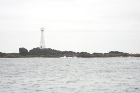 Un phare blanc effilé à porte rouge se dresse sur l'îlot bas et rocheux de Formigão, roches sombres frangées d'algues brunes, au-dessus d'une mer grise et agitée sous un ciel couvert